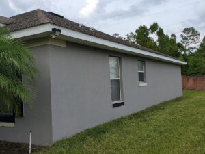house painting3